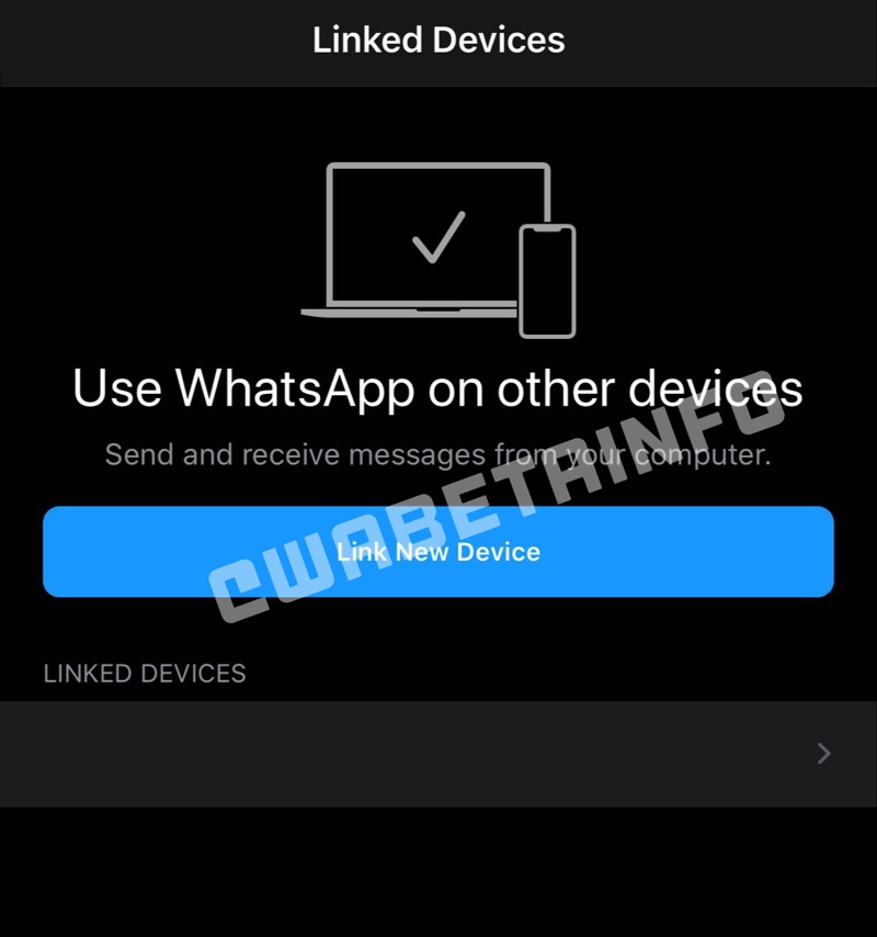 whatsapp ipad download link