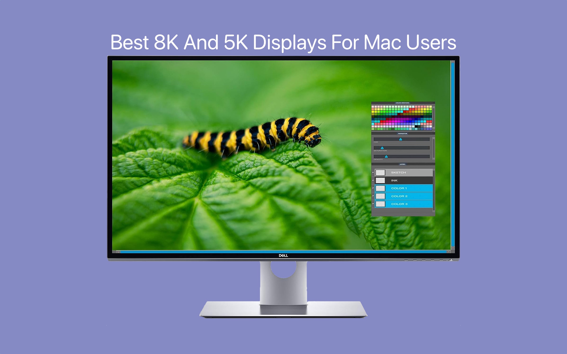 Best Mac Monitors & Displays 2023