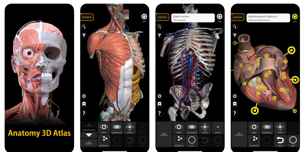 best anatomy apps for medical practitioners