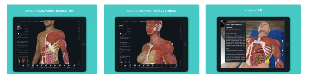 iPad anatomy apps