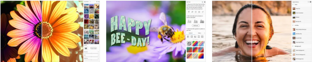 Adobe Photoshop Elements 2024 for Mac