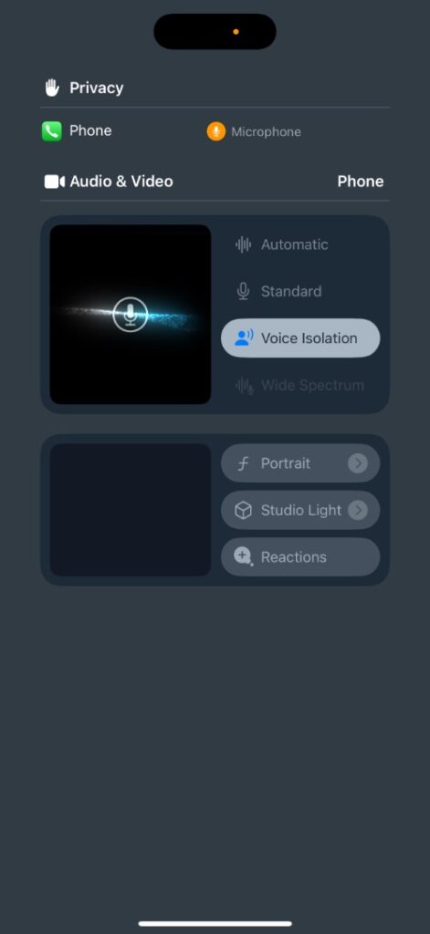 Voice Isolation iOS 18