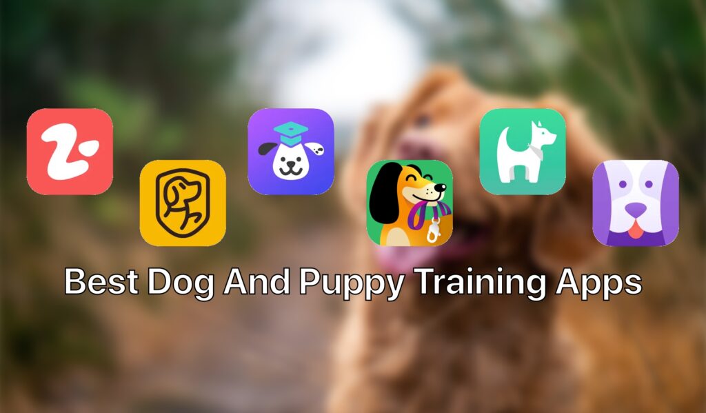 Best dog and puppy training apps