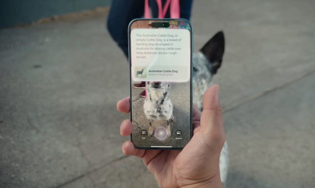 Visual Intelligence on iPhone