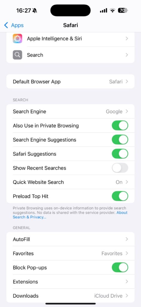 Show Recent Searches toggle