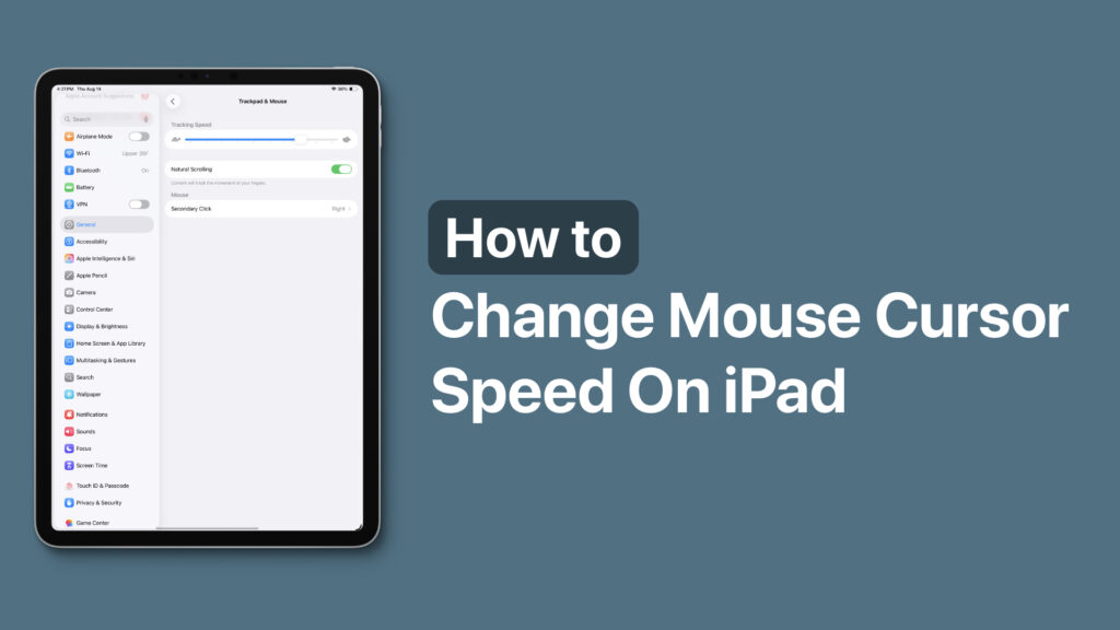 Change mouse cursor speed on iPad